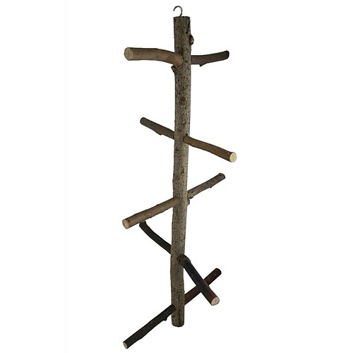 Bird Perches & Ladders Pet Friendly Focus Toy Felt / Fabric Toys Bird Wood 22.5 cm
Bird Perches & Ladders Pet Friendly Focus Toy Felt / Fabric Toys Bird Wood 22.5 cm