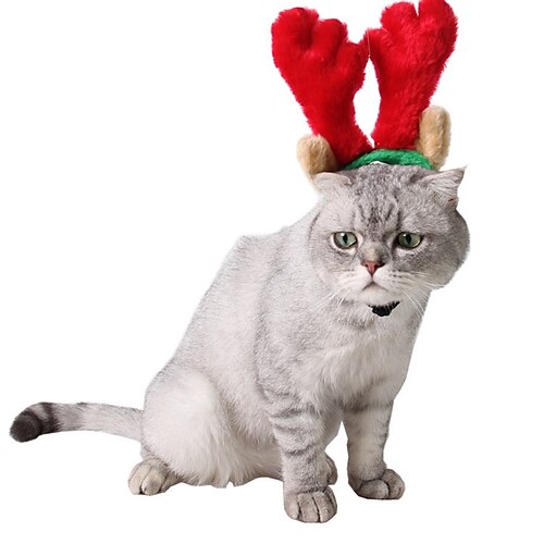 Dog Cat Ornaments Hair Accessories Puppy Clothes Solid Colored Casual / Daily Simple Style Winter Dog Clothes Puppy Clothes Dog Outfits Red Costume for Girl and Boy Dog Polyester S L
Dog Cat Ornaments Hair Accessories Puppy Clothes Solid Colored Casual / Daily Simple Style Winter Dog Clothes Puppy Clothes Dog Outfits Red Costume for Girl and Boy Dog Polyester S L