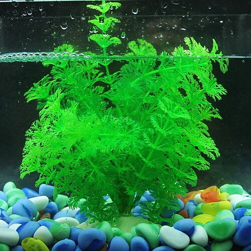 akvarium kunstige planter akvarium dekorasjon vann gress dekor utsikt dekorasjoner akvarium hjem dekorasjon tilbehør
akvarium kunstige planter akvarium dekorasjon vann gress dekor utsikt dekorasjoner akvarium hjem dekorasjon tilbehør
