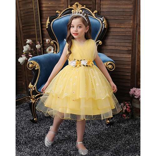 Kids Little Girls' Dress Floral Tulle Dress Birthday Daily Performance Embroidered Blue Purple Pink Knee-length Sleeveless Cute Dresses Children's Day Fall Spring Regular Fit 4-13 Years / Summer
Kids Little Girls' Dress Floral Tulle Dress Birthday Daily Performance Embroidered Blue Purple Pink Knee-length Sleeveless Cute Dresses Children's Day Fall Spring Regular Fit 4-13 Years / Summer