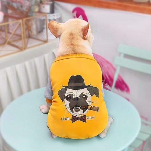 Dog Cat Sweatshirt Animal Leisure Cute Dailywear Casual / Daily Winter Dog Clothes Puppy Clothes Dog Outfits Warm Yellow Blue Sweatshirts
Dog Cat Sweatshirt Animal Leisure Cute Dailywear Casual / Daily Winter Dog Clothes Puppy Clothes Dog Outfits Warm Yellow Blue Sweatshirts