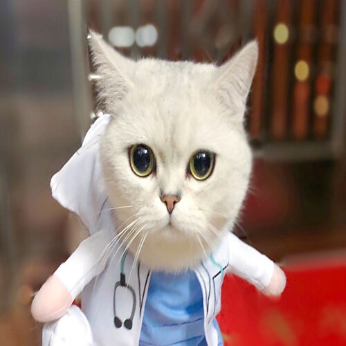 Dog Costume Bowknot Cartoon Casual / Daily Birthday Dog Clothes Puppy Clothes Dog Outfits Breathable White Costume for Girl and Boy Dog Polyester S M L XL
Dog Costume Bowknot Cartoon Casual / Daily Birthday Dog Clothes Puppy Clothes Dog Outfits Breathable White Costume for Girl and Boy Dog Polyester S M L XL