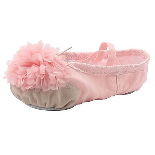 Women's Ballet Shoes Training Performance Practice Professional Practice Flower Flat Heel Round Toe White Black Pink Elastic Band Slip-on Adults'
Women's Ballet Shoes Training Performance Practice Professional Practice Flower Flat Heel Round Toe White Black Pink Elastic Band Slip-on Adults'