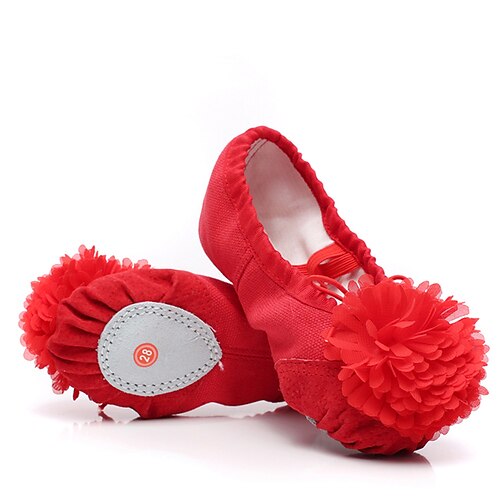Girls' Ballet Shoes Red Ballet Pumps Performance Practice Professional Flat Flower Flat Heel Round Toe White Black Pink Elastic Band Kid's
Girls' Ballet Shoes Red Ballet Pumps Performance Practice Professional Flat Flower Flat Heel Round Toe White Black Pink Elastic Band Kid's