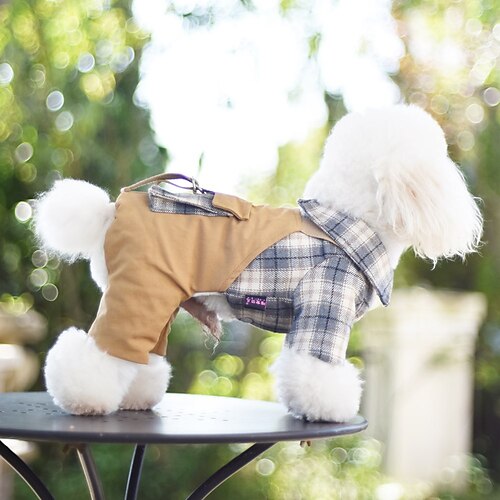 Winter Padded Coat and Fleece Small Dog Winter Warm Belt Button thick Dog Clothes Suspenders
Winter Padded Coat and Fleece Small Dog Winter Warm Belt Button thick Dog Clothes Suspenders