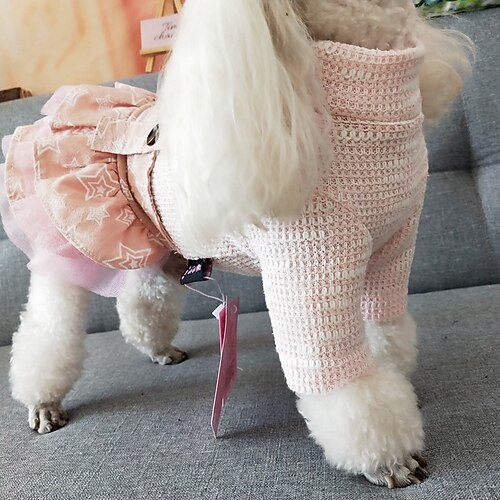 Dog Autumn And Winter Dress Puppy Than Princess Bear Gauze Pompous Skirt Dog Outfits Warm 3 Costume for Girl and Boy Dog Cotton Fabric XL
Dog Autumn And Winter Dress Puppy Than Princess Bear Gauze Pompous Skirt Dog Outfits Warm 3 Costume for Girl and Boy Dog Cotton Fabric XL