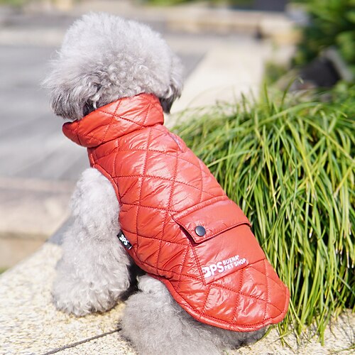 roupas de cachorro psm novo teddy fadou schnauzer bome corgi pet colete três cores grosso quente
roupas de cachorro psm novo teddy fadou schnauzer bome corgi pet colete três cores grosso quente