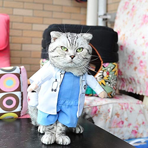 Pet Dog Cat Doctor Costume Halloween Jeans Clothes Funny Apperal Outfit Uniform, Large
Pet Dog Cat Doctor Costume Halloween Jeans Clothes Funny Apperal Outfit Uniform, Large