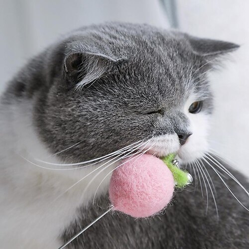 Cat Toys Cartoon Pink Bell Bunny Rabbit Teasing Cat Stick Cat Cat Supplies Cat Toys For Indoor Cats
Cat Toys Cartoon Pink Bell Bunny Rabbit Teasing Cat Stick Cat Cat Supplies Cat Toys For Indoor Cats