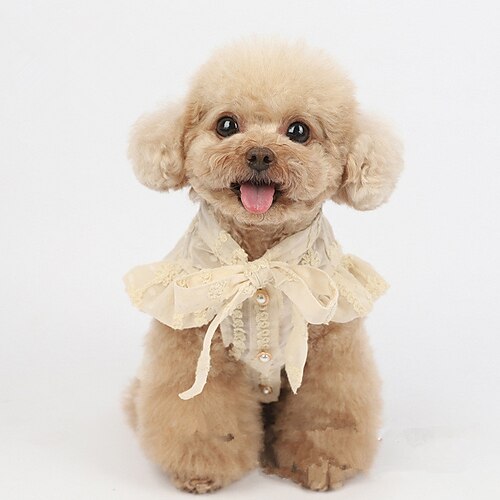 Pet Waist Pleated Princess Dress Summer Puppy Dog Schnauzer Cat Thin Floral Lace Clothes Dog Clothes for Small Dogs Girl
Pet Waist Pleated Princess Dress Summer Puppy Dog Schnauzer Cat Thin Floral Lace Clothes Dog Clothes for Small Dogs Girl