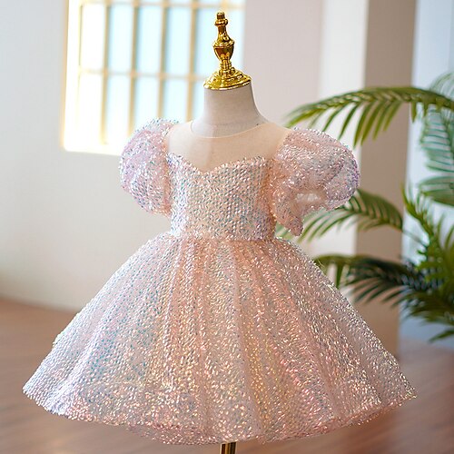 Kids Little Girls' Dress Sequin A Line Dress Special Occasion Birthday Sequins Sparkle Pink Midi Short Sleeve Princess Cute Dresses Spring Summer Regular Fit 3-12 Years
Kids Little Girls' Dress Sequin A Line Dress Special Occasion Birthday Sequins Sparkle Pink Midi Short Sleeve Princess Cute Dresses Spring Summer Regular Fit 3-12 Years