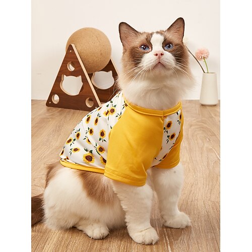 Dog T-Shirt Dog Shirt Breathable Pet Apparel Colorful Puppy Sweatshirt Dog Clothes for Small to Medium Dogs Puppy
Dog T-Shirt Dog Shirt Breathable Pet Apparel Colorful Puppy Sweatshirt Dog Clothes for Small to Medium Dogs Puppy