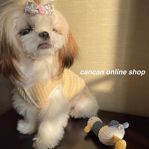 Dog Clothes Autumn and Winter Clothes Warm Pet Vest Puppy Open Shirt Fashion Cotton Clothes Soft Pet Clothes
Dog Clothes Autumn and Winter Clothes Warm Pet Vest Puppy Open Shirt Fashion Cotton Clothes Soft Pet Clothes