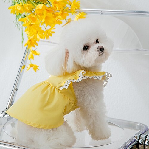 Dog Cat Dress Solid Colored Fashion Cute Holiday Casual / Daily Dog Clothes Puppy Clothes Dog Outfits Soft Blue Yellow Costume for Girl and Boy Dog Cloth XS S M L XL 2XL
Dog Cat Dress Solid Colored Fashion Cute Holiday Casual / Daily Dog Clothes Puppy Clothes Dog Outfits Soft Blue Yellow Costume for Girl and Boy Dog Cloth XS S M L XL 2XL