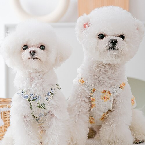 Dog Cat Dress Flower / Floral Fashion Cute Sports Casual / Daily Dog Clothes Puppy Clothes Dog Outfits Soft Blue Yellow Costume for Girl and Boy Dog Cloth XS S M L XL 2XL
Dog Cat Dress Flower / Floral Fashion Cute Sports Casual / Daily Dog Clothes Puppy Clothes Dog Outfits Soft Blue Yellow Costume for Girl and Boy Dog Cloth XS S M L XL 2XL