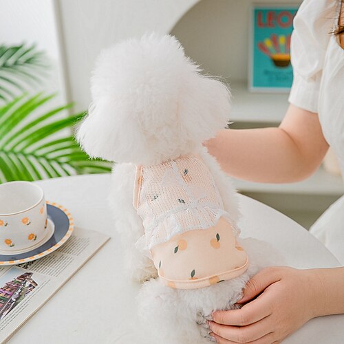 Dog Cat Surgery Recovery Suit Graphic Fashion Cute Sports Casual / Daily Dog Clothes Puppy Clothes Dog Outfits Soft Orange Costume for Girl and Boy Dog Cloth S M L XL XXL
Dog Cat Surgery Recovery Suit Graphic Fashion Cute Sports Casual / Daily Dog Clothes Puppy Clothes Dog Outfits Soft Orange Costume for Girl and Boy Dog Cloth S M L XL XXL