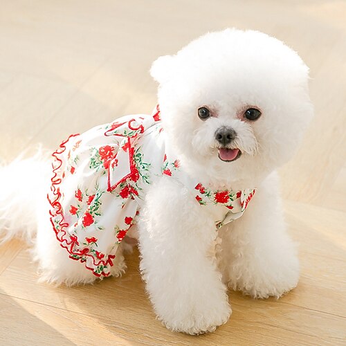 Dog Cat Dress Flower / Floral Fashion Cute Sports Casual / Daily Dog Clothes Puppy Clothes Dog Outfits Soft Red Costume for Girl and Boy Dog Cloth XS S M L XL 2XL
Dog Cat Dress Flower / Floral Fashion Cute Sports Casual / Daily Dog Clothes Puppy Clothes Dog Outfits Soft Red Costume for Girl and Boy Dog Cloth XS S M L XL 2XL