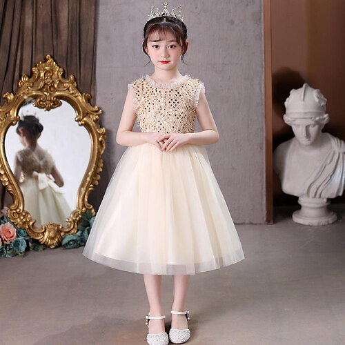 Kids Girls' Dress Sequin Dress Party Sequins Sleeveless Elegant Dress 3-10 Years Spring Gold Pink White
Kids Girls' Dress Sequin Dress Party Sequins Sleeveless Elegant Dress 3-10 Years Spring Gold Pink White