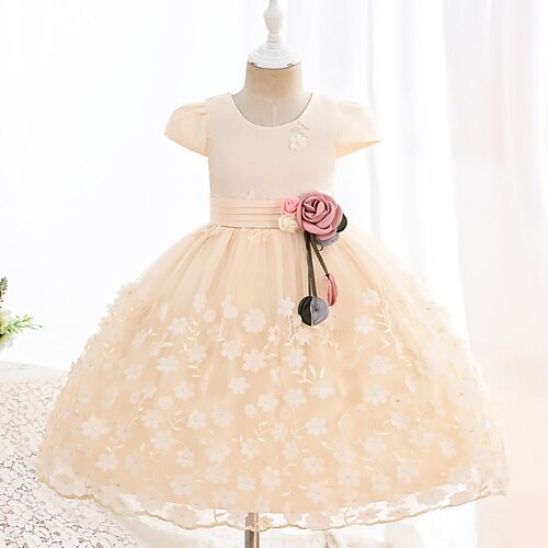 Kids Girls' Dress Floral A Line Dress Knee-length Dress Performance Pleated Short Sleeve Cute Dress 3-12 Years Spring Pink Champagne White
Kids Girls' Dress Floral A Line Dress Knee-length Dress Performance Pleated Short Sleeve Cute Dress 3-12 Years Spring Pink Champagne White