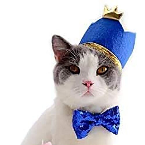 Dog Crown Dog Scarf Dog Bandana Dog Hat Tie / Bow Tie Bowknot Stars Fashion Cute Sports Casual / Daily Dog Clothes Puppy Clothes Dog Outfits Soft Rosy Pink Costume for Girl and Boy Dog Cotton
Dog Crown Dog Scarf Dog Bandana Dog Hat Tie / Bow Tie Bowknot Stars Fashion Cute Sports Casual / Daily Dog Clothes Puppy Clothes Dog Outfits Soft Rosy Pink Costume for Girl and Boy Dog Cotton