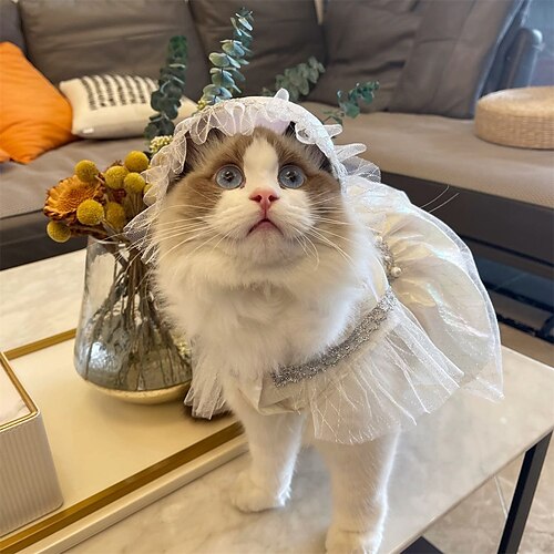 Pet Skirt Cool and Comfortable Ins Wind Lace 2022 New Birthday Dress Princess Skirt Dog Clothes Thin Section
Pet Skirt Cool and Comfortable Ins Wind Lace 2022 New Birthday Dress Princess Skirt Dog Clothes Thin Section