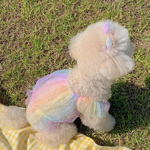 Dog Cat Vest Solid Colored Fashion Cute Holiday Casual / Daily Dog Clothes Puppy Clothes Dog Outfits Soft White Costume for Girl and Boy Dog Net XS 2XL
Dog Cat Vest Solid Colored Fashion Cute Holiday Casual / Daily Dog Clothes Puppy Clothes Dog Outfits Soft White Costume for Girl and Boy Dog Net XS 2XL