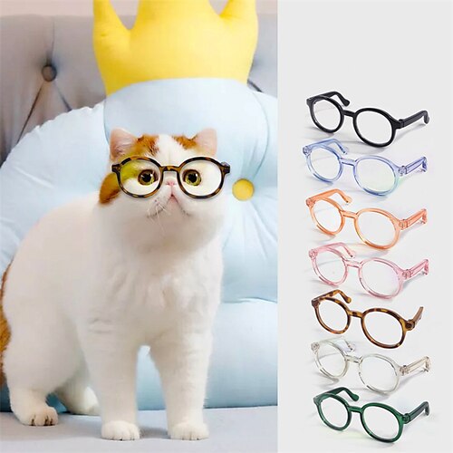 Pet Glasses Dog Teddy Funny Halloween Accessories Plastic Transparent Cat Glasses
Pet Glasses Dog Teddy Funny Halloween Accessories Plastic Transparent Cat Glasses