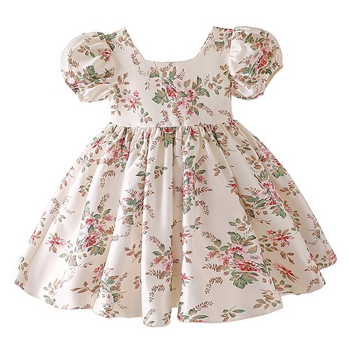 Bambino Da ragazza Vestito floreale Fiore decorativo Abito casual Sopra il ginocchio Vestito Informale A V Manica corta Di tendenza Vestito 3-6 Y Primavera Champagne
Bambino Da ragazza Vestito floreale Fiore decorativo Abito casual Sopra il ginocchio Vestito Informale A V Manica corta Di tendenza Vestito 3-6 Y Primavera Champagne