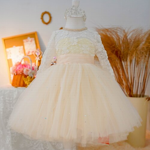 Kids Little Girls' Dress Floral Solid Colored A Line Dress Party Ruched Mesh Bow Beige Maxi Long Sleeve Cute Sweet Dresses Spring Summer Regular Fit 4-13 Years
Kids Little Girls' Dress Floral Solid Colored A Line Dress Party Ruched Mesh Bow Beige Maxi Long Sleeve Cute Sweet Dresses Spring Summer Regular Fit 4-13 Years