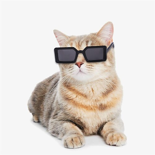 Pet Glasses Dog Teddy Funny Halloween Accessories Plastic Transparent Cat Glasses
Pet Glasses Dog Teddy Funny Halloween Accessories Plastic Transparent Cat Glasses
