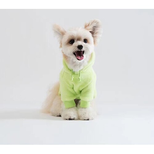 Autumn and winter pet clothes than bear teddy Pomerana-Schnauzer Yorkshire poodle small dog clothes fall
Autumn and winter pet clothes than bear teddy Pomerana-Schnauzer Yorkshire poodle small dog clothes fall