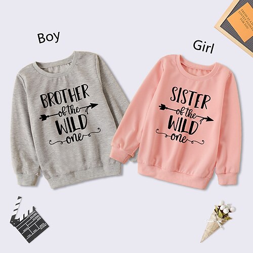 Kids Unisex Sweatshirt Graphic Daily Long Sleeve Crewneck Neutral 3-8 Years Fall Pink Gray
Kids Unisex Sweatshirt Graphic Daily Long Sleeve Crewneck Neutral 3-8 Years Fall Pink Gray