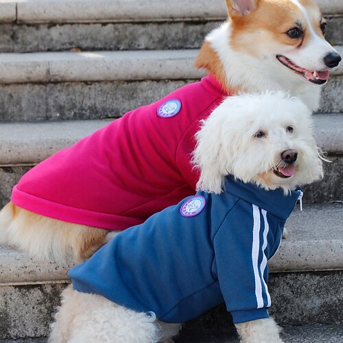 Campus Style Pet Sweater Teddy Bichon Schnauzer Corgi Clothes Sports Retro Dog Clothes
Campus Style Pet Sweater Teddy Bichon Schnauzer Corgi Clothes Sports Retro Dog Clothes