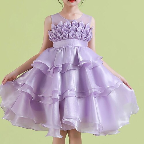 Kids Little Girls' Dress Solid Colored A Line Dress Party Performance Ruched White Purple Pink Asymmetrical Sleeveless Princess Sweet Dresses Spring Summer Regular Fit 3-10 Years
Kids Little Girls' Dress Solid Colored A Line Dress Party Performance Ruched White Purple Pink Asymmetrical Sleeveless Princess Sweet Dresses Spring Summer Regular Fit 3-10 Years