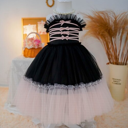 Kids Little Girls' Dress Color Block A Line Dress Party Performance Mesh Black Asymmetrical Sleeveless Princess Sweet Dresses Summer Regular Fit 2-6 Years
Kids Little Girls' Dress Color Block A Line Dress Party Performance Mesh Black Asymmetrical Sleeveless Princess Sweet Dresses Summer Regular Fit 2-6 Years