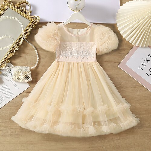 Kids Little Girls' Dress Solid Colored Tulle Dress Special Occasion Daily Champagne Knee-length Short Sleeve Princess Cute Dresses Spring Summer Slim 2-8 Years
Kids Little Girls' Dress Solid Colored Tulle Dress Special Occasion Daily Champagne Knee-length Short Sleeve Princess Cute Dresses Spring Summer Slim 2-8 Years