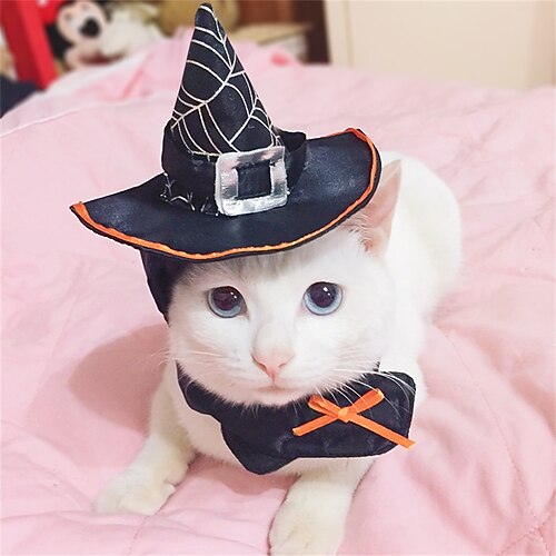 Pet Supplieshalloween Cat Suppliestransformation Costumeswizard Hatsscarvesfestival Costumes
Pet Supplieshalloween Cat Suppliestransformation Costumeswizard Hatsscarvesfestival Costumes
