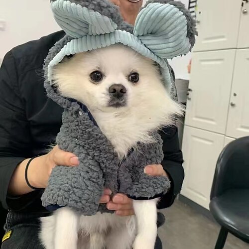 Dog Clothes Spring Clothes Cat Clothes Ear Yellow Duck Thin Princess Cute Teddy Small Dog Pet Clothes
Dog Clothes Spring Clothes Cat Clothes Ear Yellow Duck Thin Princess Cute Teddy Small Dog Pet Clothes