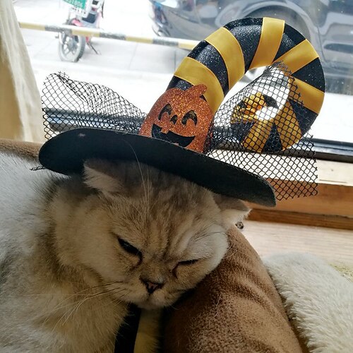 Halloween Pet Supplies Pet Dog Accessories Halloween Pet Spider Hat Pumpkin Wizard Hat
Halloween Pet Supplies Pet Dog Accessories Halloween Pet Spider Hat Pumpkin Wizard Hat