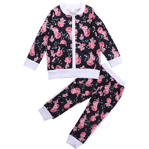 Kids Girls' Clothing Set 2 Pieces Long Sleeve Pink Floral School Daily Sweet 2-6 Years
Kids Girls' Clothing Set 2 Pieces Long Sleeve Pink Floral School Daily Sweet 2-6 Years