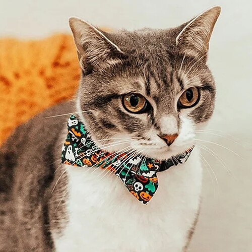 Halloween Pet Collar Diy Medium And Large Dog Bow Collar Cat Collar Decoration
Halloween Pet Collar Diy Medium And Large Dog Bow Collar Cat Collar Decoration