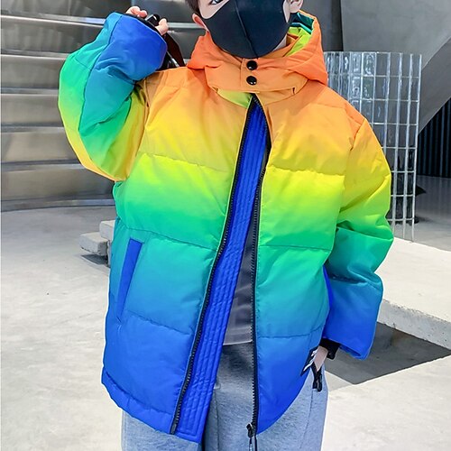 Kids Boys Down Coat Outerwear Color Block Long Sleeve Coat Daily Cotton Cool Green Winter Fall 3-13 Years
Kids Boys Down Coat Outerwear Color Block Long Sleeve Coat Daily Cotton Cool Green Winter Fall 3-13 Years