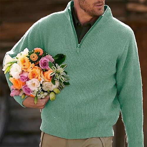 Men's Pullover Sweater Jumper Ribbed Knit Cropped Zipper Knitted Solid Color Stand Collar Stylish Basic Daily Holiday Fall Winter Green White M L XL / Long Sleeve
Men's Pullover Sweater Jumper Ribbed Knit Cropped Zipper Knitted Solid Color Stand Collar Stylish Basic Daily Holiday Fall Winter Green White M L XL / Long Sleeve