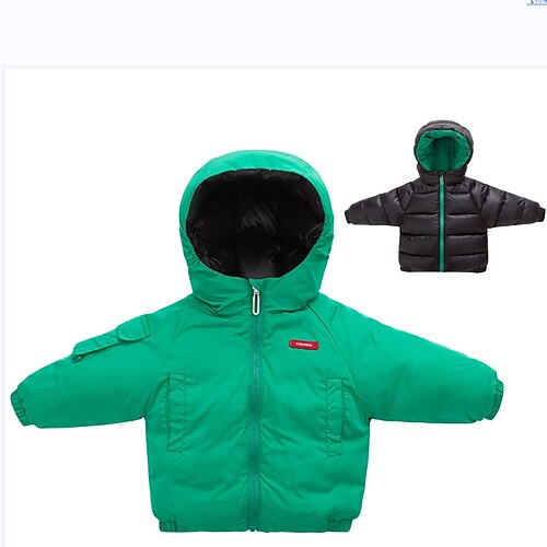 Kids Boys Down Coat Outerwear Plain Coat Active Cute Light Blue Green Black Winter Fall 2-8 Years
Kids Boys Down Coat Outerwear Plain Coat Active Cute Light Blue Green Black Winter Fall 2-8 Years
