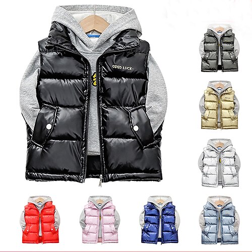 Kid Boy and Girl Puffer Vest Outerwear Basic Plain Sleeveless Winter Coat Black Gray Pink Daily Outdoor 3-13 Years
Kid Boy and Girl Puffer Vest Outerwear Basic Plain Sleeveless Winter Coat Black Gray Pink Daily Outdoor 3-13 Years