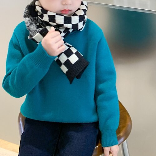 Bambino Da ragazza Felpa Tinta unica Scuola Manica lunga Attivo 2-12 anni Inverno Verde Nero Blu / Autunno
Bambino Da ragazza Felpa Tinta unica Scuola Manica lunga Attivo 2-12 anni Inverno Verde Nero Blu / Autunno