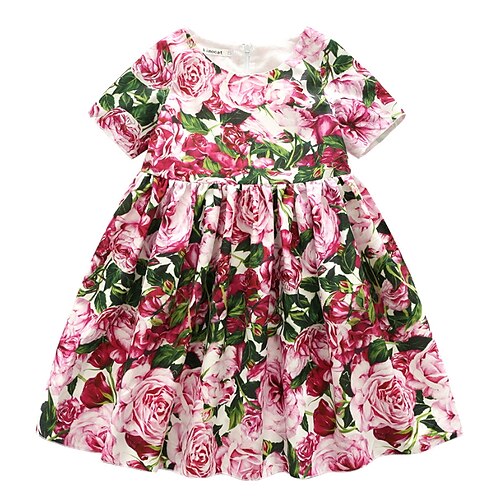 Kids Girls' Dress Floral Party Dress Dress Performance Long Sleeve Active Dress 3-12 Years Winter Pink / Cute / Fall
Kids Girls' Dress Floral Party Dress Dress Performance Long Sleeve Active Dress 3-12 Years Winter Pink / Cute / Fall