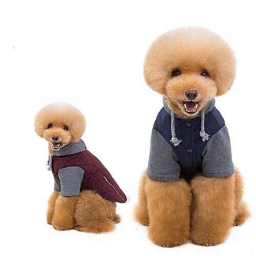 Dog Cat Coat Patchwork Adorable Stylish Ordinary Outdoor Casual Daily Winter Dog Clothes Puppy Clothes Dog Outfits Warm Wine Red Dark Blue Costume for Girl and Boy Dog Polyester S M L XL XXL
Dog Cat Coat Patchwork Adorable Stylish Ordinary Outdoor Casual Daily Winter Dog Clothes Puppy Clothes Dog Outfits Warm Wine Red Dark Blue Costume for Girl and Boy Dog Polyester S M L XL XXL