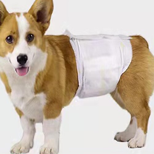 Dog Cat Pet Supplies Fabric Dog Clean Supply Portable Soft Disposable Easy to Use Pet Grooming Supplies White
Dog Cat Pet Supplies Fabric Dog Clean Supply Portable Soft Disposable Easy to Use Pet Grooming Supplies White
