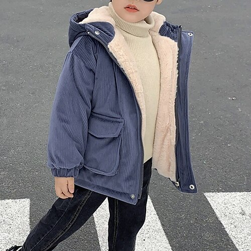Toddler Boys Hoodie Jacket Outerwear Solid Color Letter Long Sleeve Zipper Coat Outdoor Cotton Fashion Daily Green Royal Blue Winter Fall 3-7 Years
Toddler Boys Hoodie Jacket Outerwear Solid Color Letter Long Sleeve Zipper Coat Outdoor Cotton Fashion Daily Green Royal Blue Winter Fall 3-7 Years
